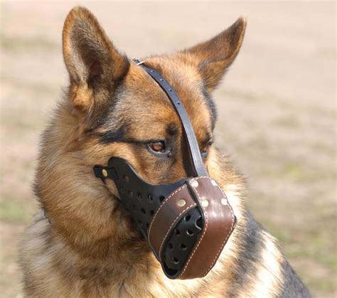 Agitation Leather Dog Muzzle For German Shepherd K9 Dog Muzzle M55