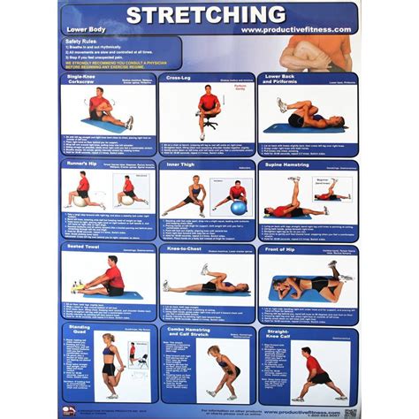 Productive Fitness Posters Stretching Exercise Upper And Lower Body For