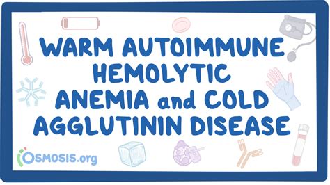 Warm Autoimmune Hemolytic Anemia And Cold Agglutinin Nord Osmosis