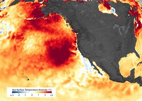 Las olas de calor marinas son cada vez más frecuentes