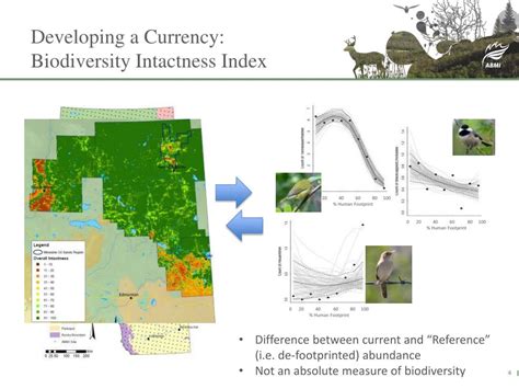 Ppt Current And Future Biodiversity Intactness Assessment Of The Osli