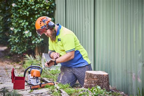 Tree Removal Melbourne East