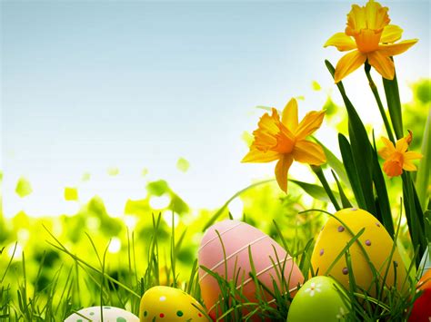 Hdr Colorful Easter Egg Background Bible Clipart