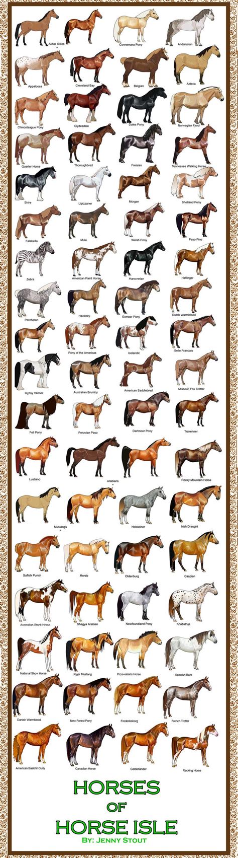 Breed Chart Horseisle 1 69 Razas De Caballos Fotos De Caballos