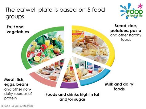 The Eatwell Plate © Food A Fact Of Life 2008 Ppt Video Online