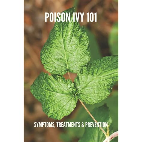 Poison Ivy 101 Symptoms Treatments And Prevention Poison Ivy Treatment