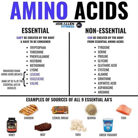 How To Get More Amino Acids In Your Diet