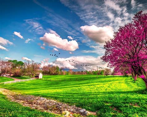 Free Download Landscape Beautiful Spring Nature Spring Wallpapers