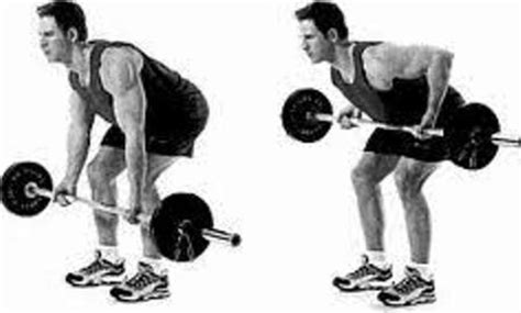 Barbell Row