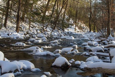 Winter Snow On The Creek Stock Image Image Of Forest 62853703