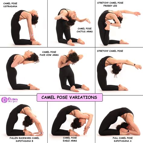 Camel Pose Variations Elena Miss Yoga