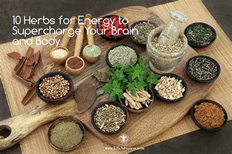 10 Herbs For Energy To Supercharge Your Brain And Body ~ Life Advancer