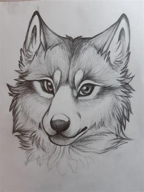 Pin De Ashish Sasi En My Drawings Dibujos Dibujos Bonitos Animales