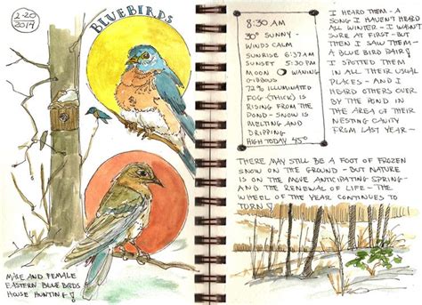 Bluebirds Return Copyright 2014 Jan Blencowe Notebooks Journals