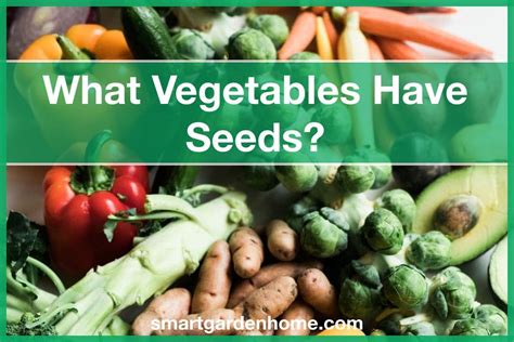 What Vegetables Have Seeds 14 Examples Smart Garden And Home