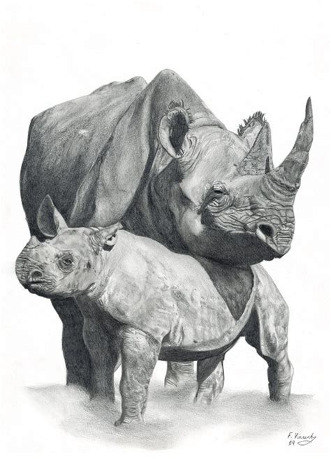 Maybe you would like to learn more about one of these? Mother And Baby Rhino Pencil Drawing By Frances Vincent | absolutearts.com