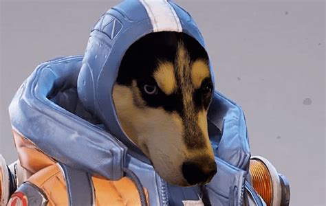 Here Is My Dog As Watson From Apex Legends I Wasnt Allowed To Post