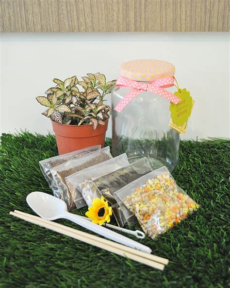 Our diy terrarium kits are easy and it comes with everything you need to make your own terrarium. DIY Terrarium Kit | Little Green Pot