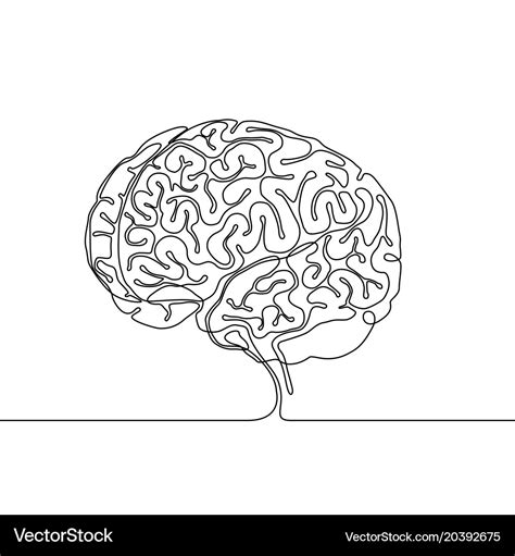 Continuous Line Drawing Of A Human Brain Vector Image