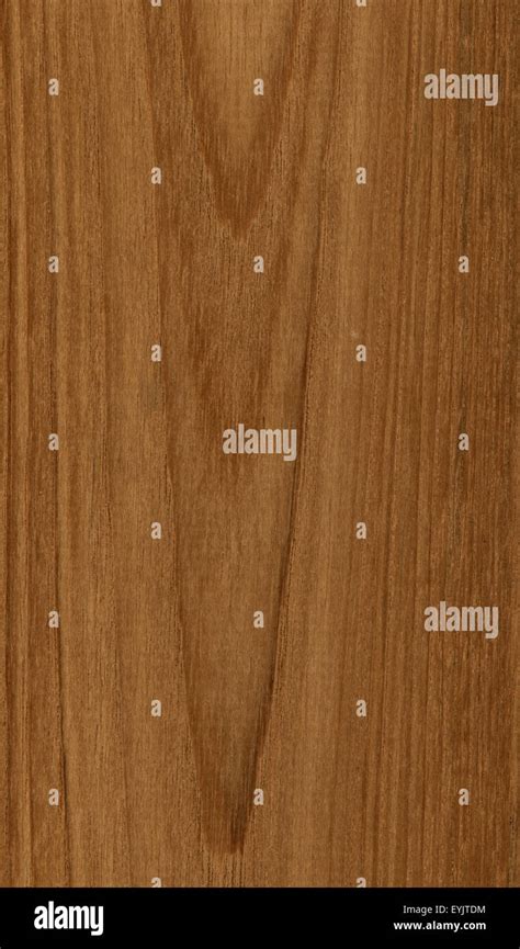 High Resolution Teak Wood Texture Stock Photo Alamy