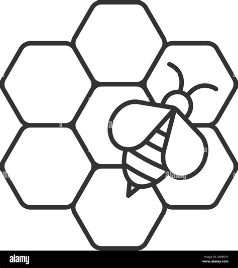 Beekeeping Linear Icon Honey Bee On Honeycomb Thin Line Illustration
