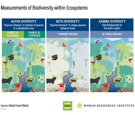 Biodiversity Chart