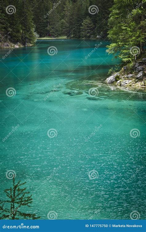 Famous Green Lake Gruener See In Austria Stock Photo Image Of