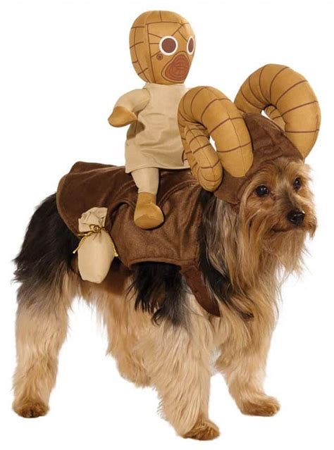 15 Dogs Dressed As Star Wars Characters