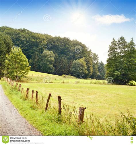 Idyllic Country Road Stock Image Image Of Green Autumn 73365147