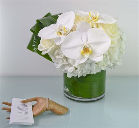 Pure White Phaelonopsis Orchids In Chicago Il Mudd Fleur