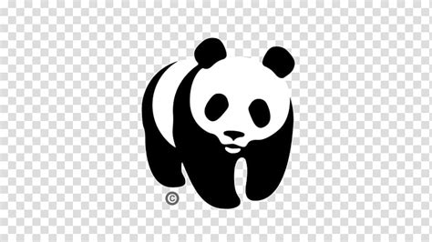 Giant Panda World Wide Fund For Nature Wwf Canada