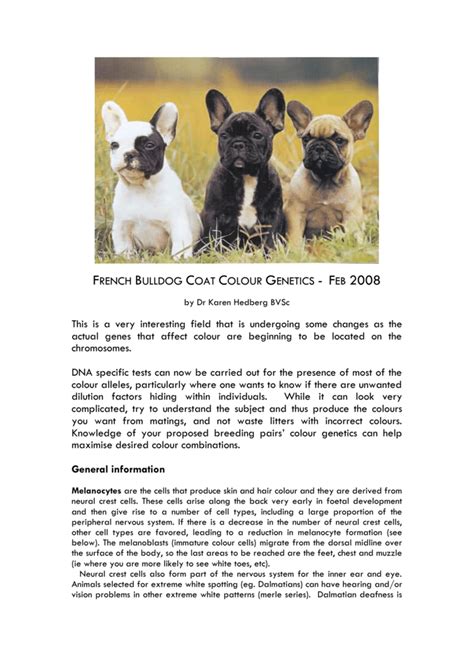 But the breeder goes into depth to help decode a very complicated topic and. French Bulldog Coat Colour Genetics