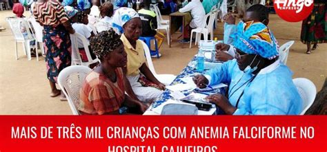 Luanda Regista Mais De Três Mil Crianças Com Anemia Falciforme No Hospital Cajueiros Ango Emprego