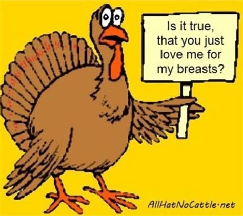 Funny Turkey Quotes Shortquotes Cc