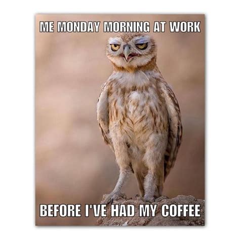 Pump up your morning with a need coffee meme! 30 I Need Coffee Memes for All Coffee Lovers - SheIdeas