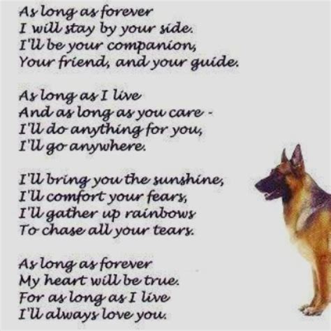 Rescue Dog Poems And Quotes Quotesgram