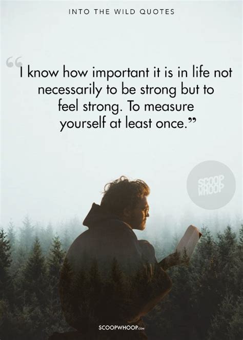 20 Into The Wild Quotes That Teach Us That Life Is The Only True