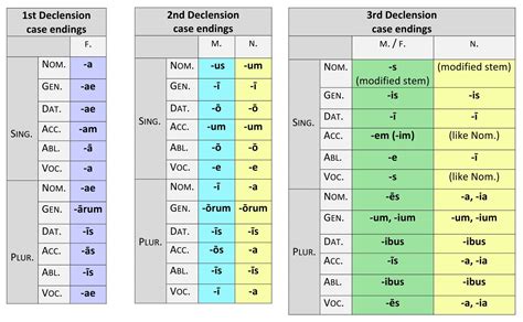 Latin Endings Chart Focus