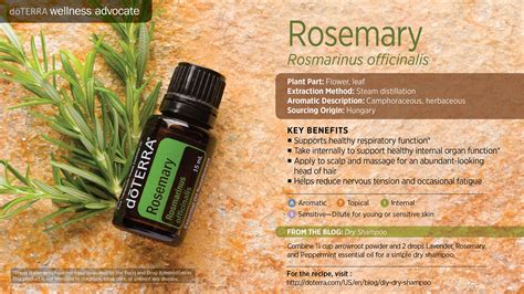 Rosemary Oil Dōterra Essential Oils
