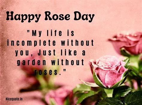 Happy Rose Day 2023 Best Rose Day Quotes Wishes And Messages