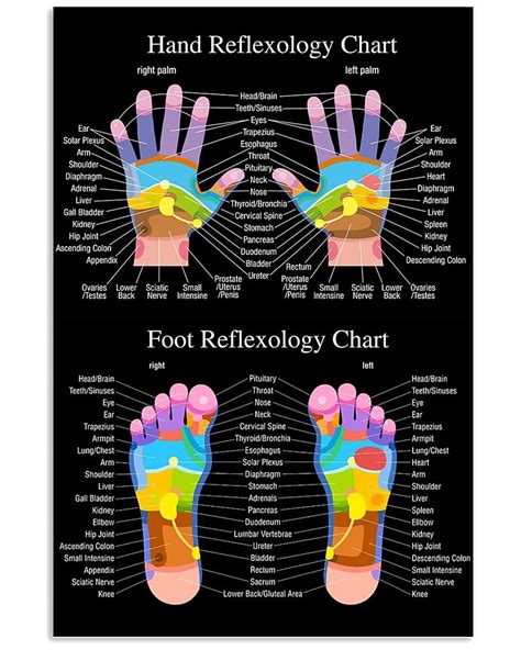 Massage Therapist Hand Reflexology Chart Poster 17x24inches Etsy