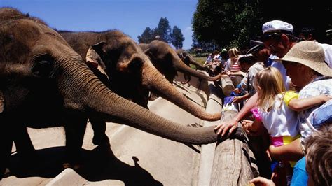 Top 10 Best Zoos In The World You Need To Visit