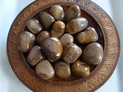 Petrified Wood Stone Gemstone Tumbled 4 Oz Wiccan Pagan
