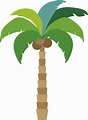 Dibujos de palmeras - Palmera dibujo para ilustración