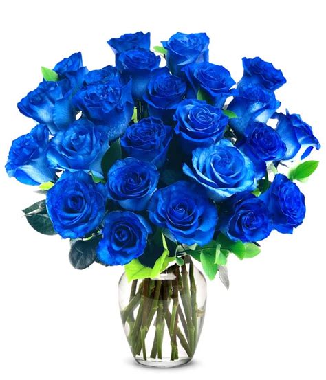 Two Dozen Royal Blue Roses At Send Flowers