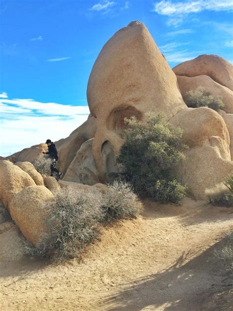 8 Fun Things To Do In Joshua Tree National Park The Traveling Spud