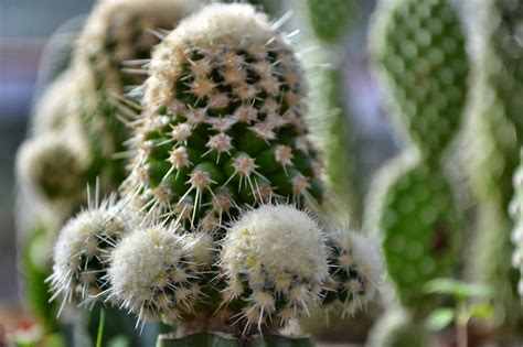 Dacă vă place lveb, însă vi se pare scump sau pur și simplu nu aveți deschiderea de a cheltui banii pe el, aveți aici alternativa. La vie est belle i ja też: września 2013