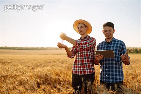 Businessmen Farmers Discuss The Wheat Crop On The Field And View The