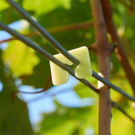 Vine Clips To Connect Vineyard Metal Posts Paskal Group