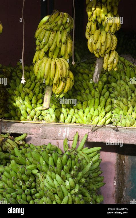 Banana Stall In Mysore Market Stock Photo Alamy